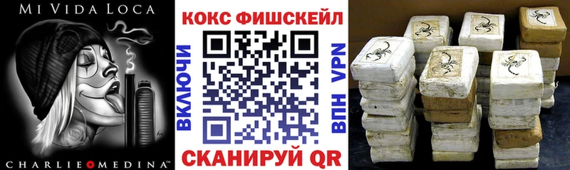 Кокаин Fish Scale  Купить закладки  Пустошка 