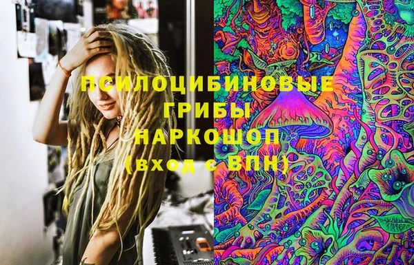 мдпв Кинешма