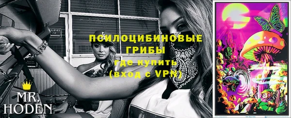 мдпв Кинешма