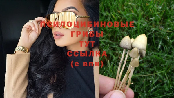 ПСИЛОЦИБИНОВЫЕ ГРИБЫ Киреевск