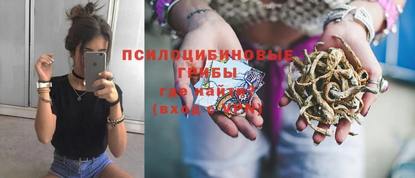 ПСИЛОЦИБИНОВЫЕ ГРИБЫ Киреевск