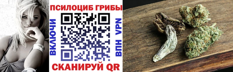 Купить где  Пустошка  Псилоцибиновые грибы Psilocybine cubensis 