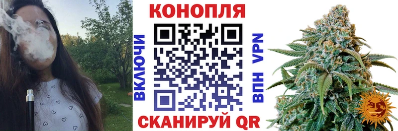 Купить где  Пустошка  Бошки Шишки Amnesia 